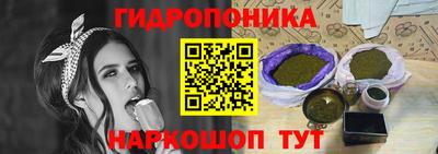 a pvp Усть-Илимск