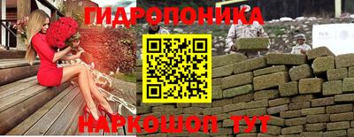 a pvp Усть-Илимск