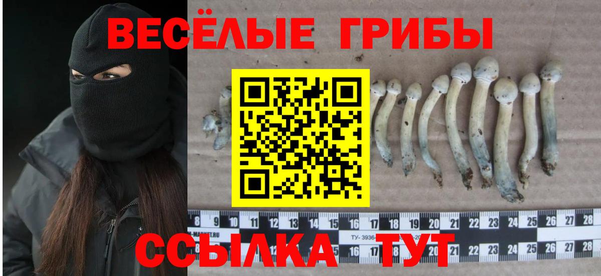 Галлюциногенные грибы MAGIC MUSHROOMS  Вход с VPN  Лыткарино 